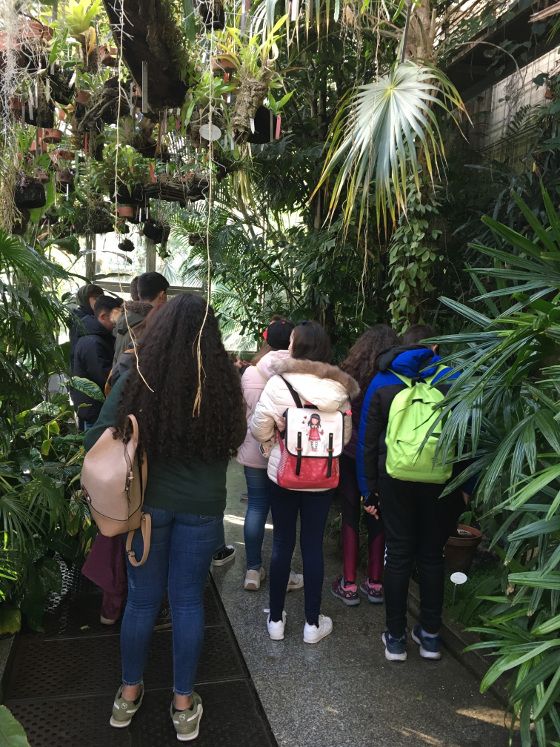 jardin botanico red