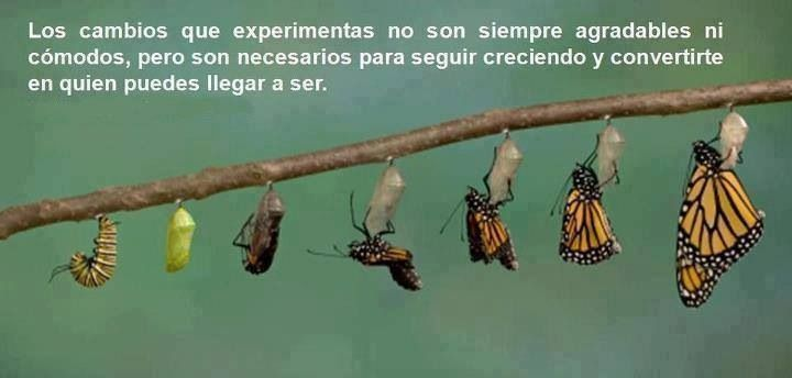 mariposa 0